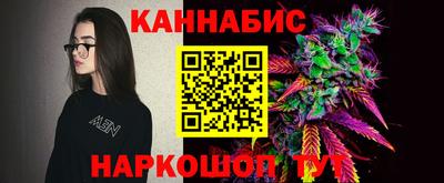 apvp Гатчина