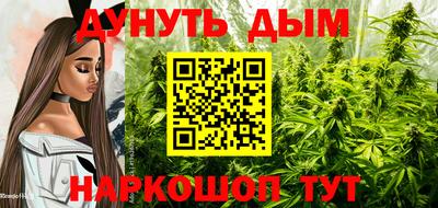 apvp Гатчина