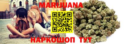 apvp Гатчина