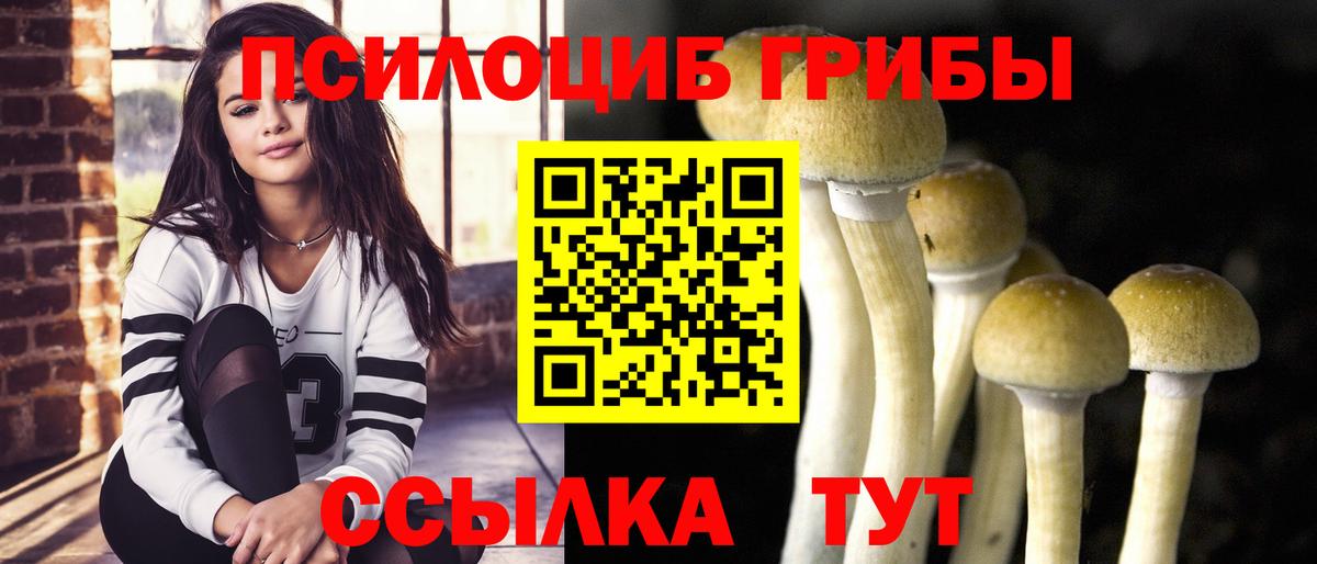Галлюциногенные грибы ЛСД Карпинск
